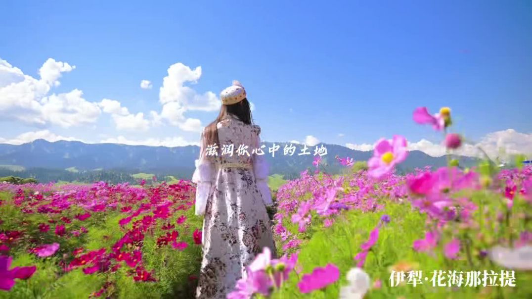花海那拉提