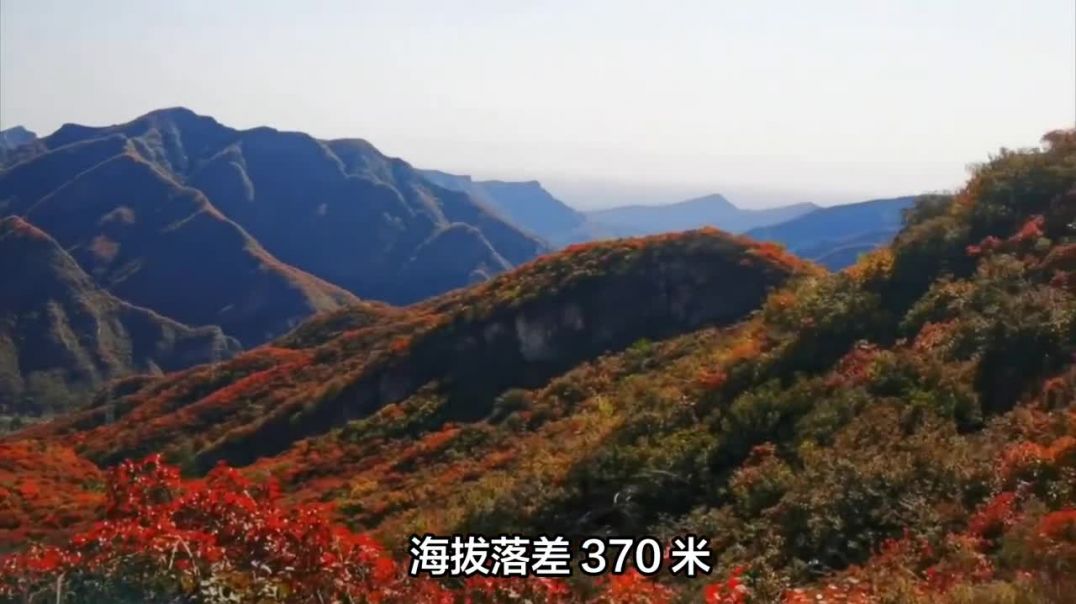 从花海到红叶：坡峰岭的全季旅行指南