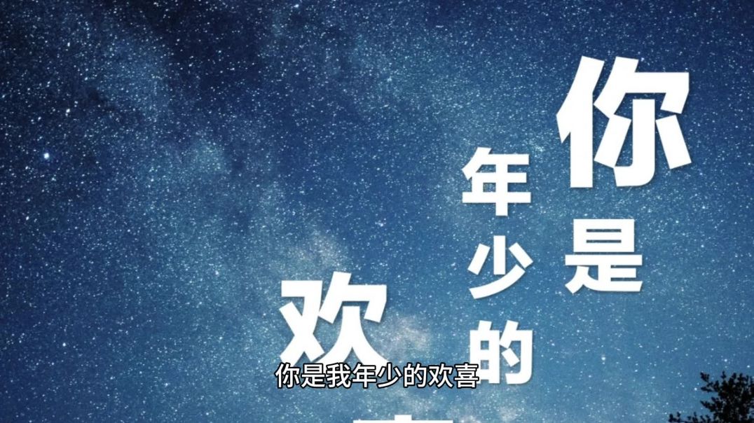 你是我年少的欢喜