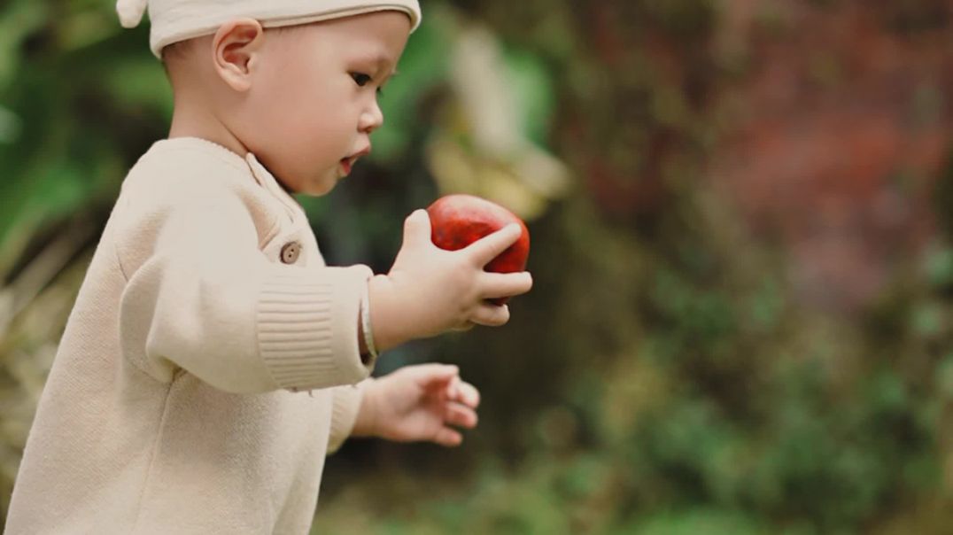 天然彩棉婴儿服装安抚玩偶
