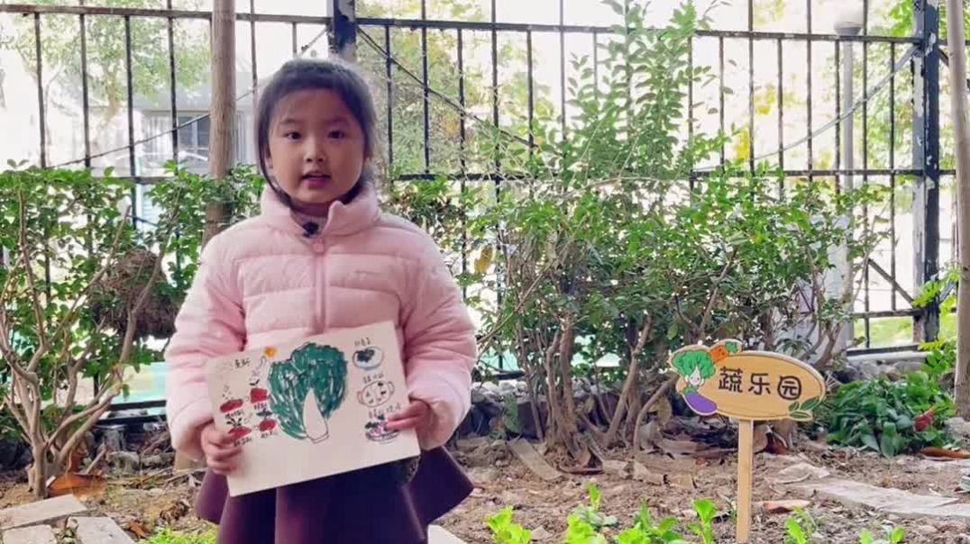 97d91406cd62eef4fa49100c537cd10e_raw