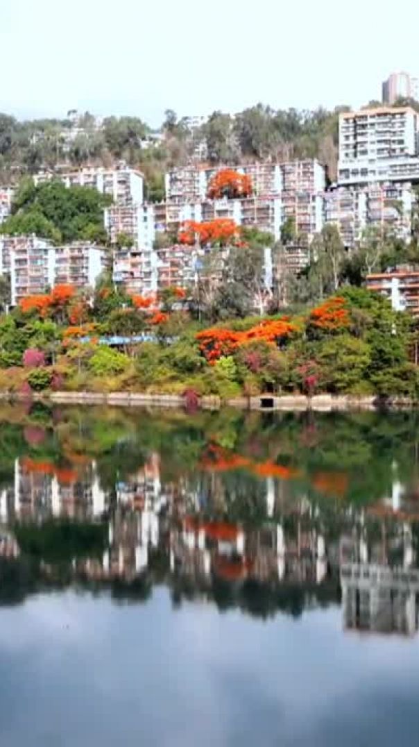 金沙逐浪，凤凰燃岸，一城红焰醉攀东！
