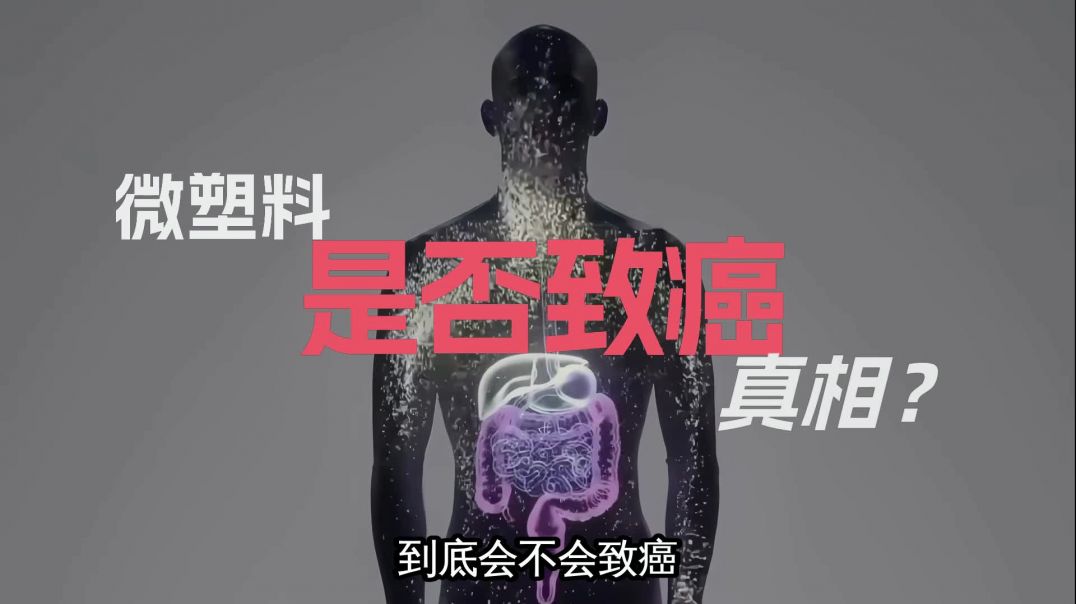 微塑料真的会致癌吗？WHO最新报告揭示科学真相