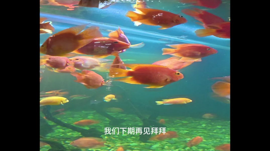90后护士裸辞，当全职宝妈的VLGO
