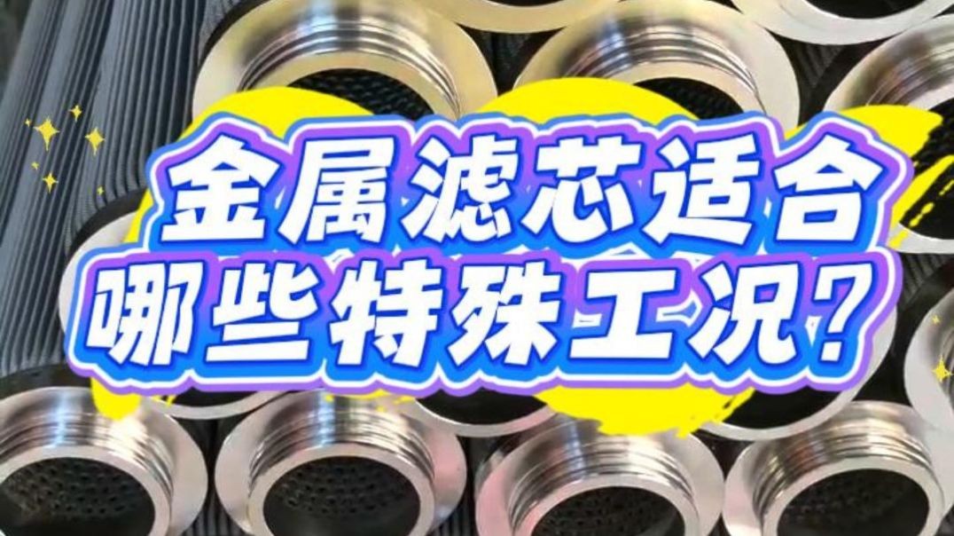 金属滤芯适合哪些特殊工况？