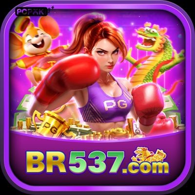 br537 br537